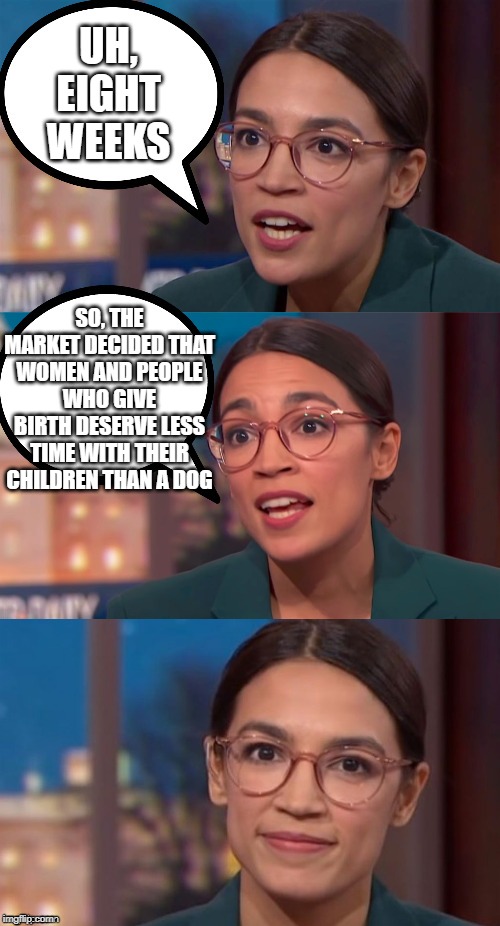 AOC on maternity leave | UH, EIGHT WEEKS; SO, THE MARKET DECIDED THAT WOMEN AND PEOPLE WHO GIVE BIRTH DESERVE LESS TIME WITH THEIR CHILDREN THAN A DOG | image tagged in aoc dialog,dog,dogs,birth,maternity | made w/ Imgflip meme maker