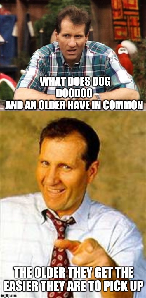 Al Bundy Words Of A Shoe Salesman | WHAT DOES DOG DOODOO 
AND AN OLDER HAVE IN COMMON; THE OLDER THEY GET THE EASIER THEY ARE TO PICK UP | image tagged in al bundy,married with children,older,women | made w/ Imgflip meme maker