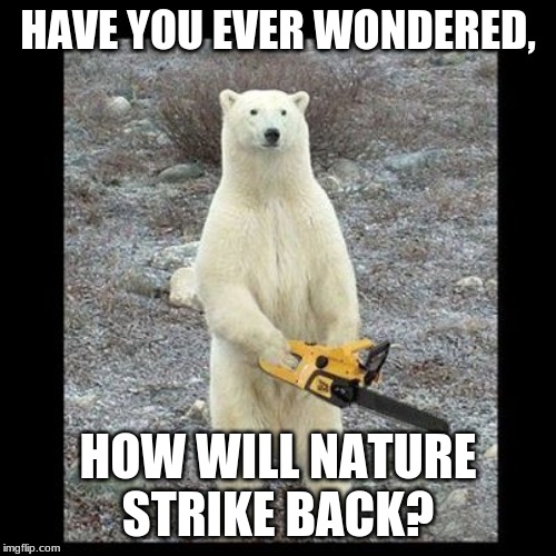 Chainsaw Bear Meme | HAVE YOU EVER WONDERED, HOW WILL NATURE STRIKE BACK? | image tagged in memes,chainsaw bear | made w/ Imgflip meme maker