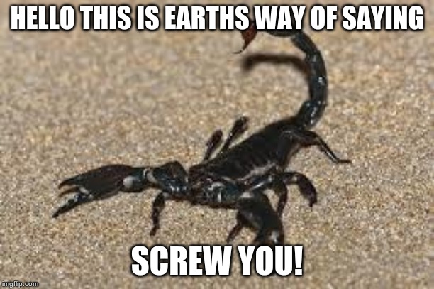 Scorpions | HELLO THIS IS EARTHS WAY OF SAYING; SCREW YOU! | image tagged in scorpions | made w/ Imgflip meme maker