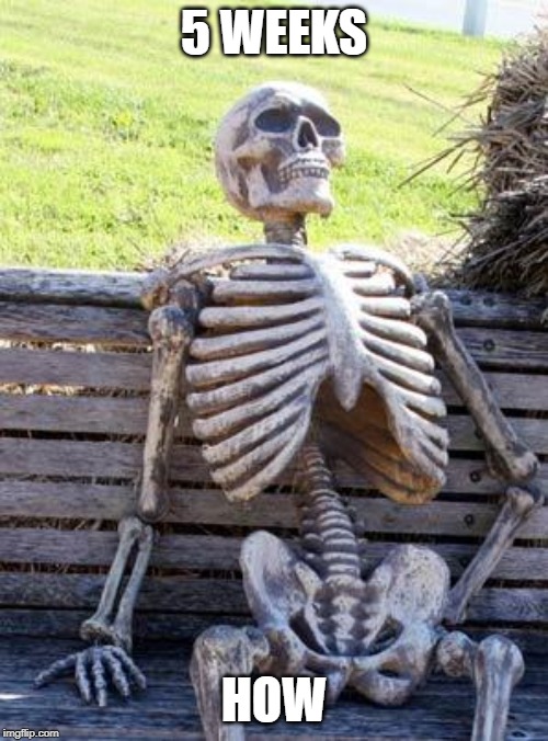 When the Tab area & forums are down for... |  5 WEEKS; HOW | image tagged in memes,waiting skeleton | made w/ Imgflip meme maker