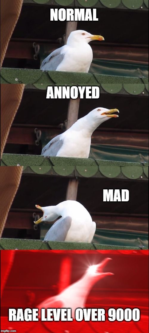 Inhaling Seagull Meme | NORMAL; ANNOYED; MAD; RAGE LEVEL OVER 9000 | image tagged in memes,inhaling seagull | made w/ Imgflip meme maker