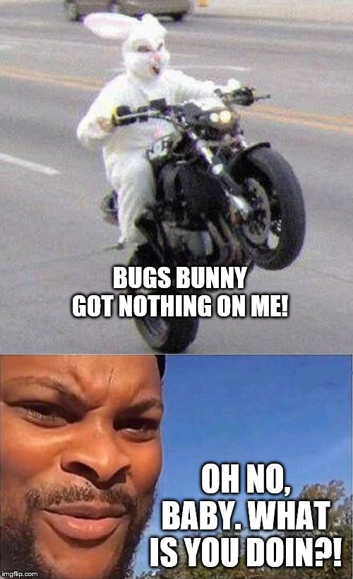 BUGS BUNNY GOT NOTHING ON ME! OH NO, BABY. WHAT IS YOU DOIN?! | image tagged in funny bunny motorcycle wheelie,what is you doin | made w/ Imgflip meme maker