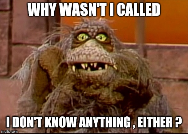 Scred | WHY WASN'T I CALLED I DON'T KNOW ANYTHING , EITHER ? | image tagged in scred | made w/ Imgflip meme maker