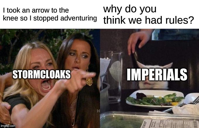 Woman Yelling At Cat Meme | I took an arrow to the knee so I stopped adventuring; why do you think we had rules? IMPERIALS; STORMCLOAKS | image tagged in memes,woman yelling at cat | made w/ Imgflip meme maker