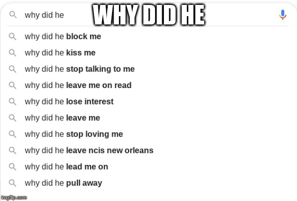 Why did he |  WHY DID HE | image tagged in google why did he | made w/ Imgflip meme maker