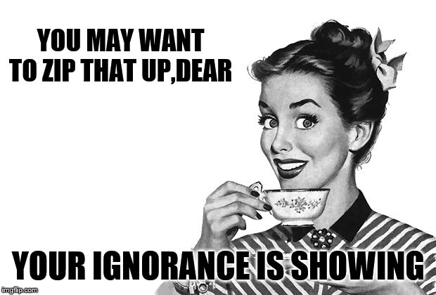 1950s Housewife | YOU MAY WANT TO ZIP THAT UP,DEAR YOUR IGNORANCE IS SHOWING | image tagged in 1950s housewife | made w/ Imgflip meme maker