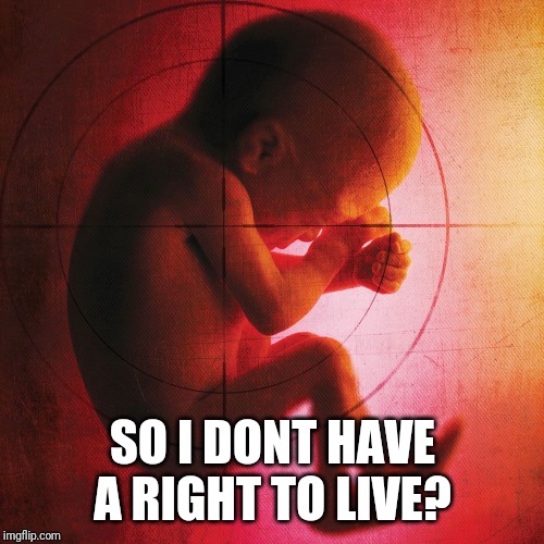 fetus | SO I DONT HAVE A RIGHT TO LIVE? | image tagged in fetus | made w/ Imgflip meme maker