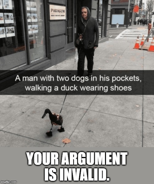 YOUR ARGUMENT IS INVALID. | made w/ Imgflip meme maker