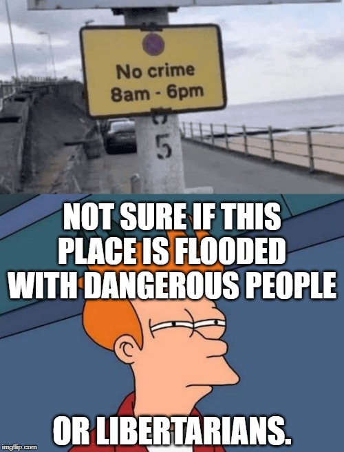 NOT SURE IF THIS PLACE IS FLOODED WITH DANGEROUS PEOPLE; OR LIBERTARIANS. | image tagged in confused fry | made w/ Imgflip meme maker