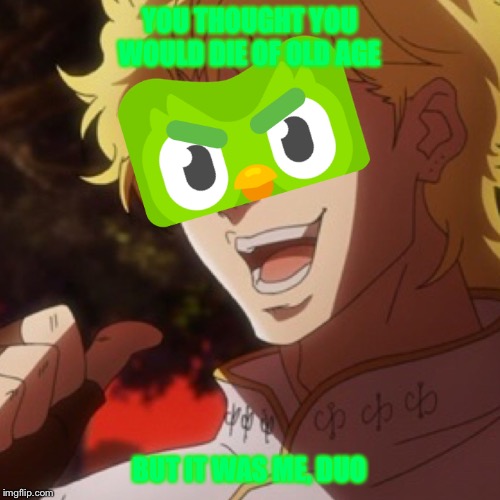 YOU THOUGHT YOU WOULD DIE OF OLD AGE; BUT IT WAS ME, DUO | image tagged in duolingo,duolingo bird,jojo's bizarre adventure,but it was me dio | made w/ Imgflip meme maker