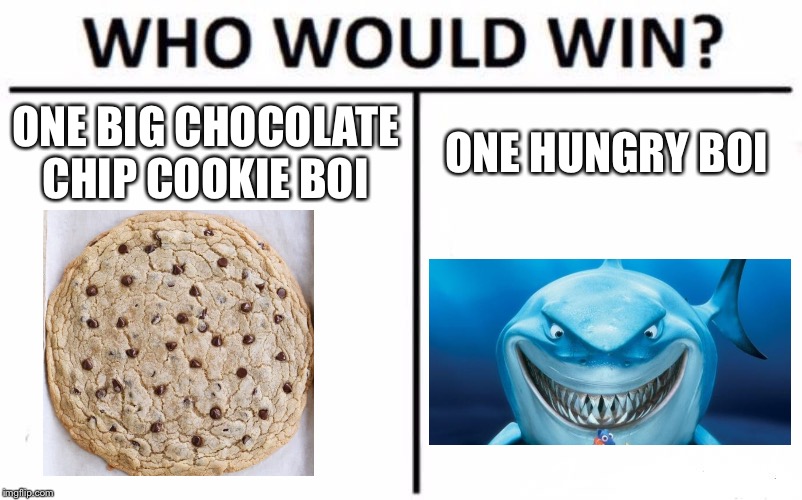 Who Would Win? | ONE BIG CHOCOLATE CHIP COOKIE BOI; ONE HUNGRY BOI | image tagged in memes,who would win | made w/ Imgflip meme maker
