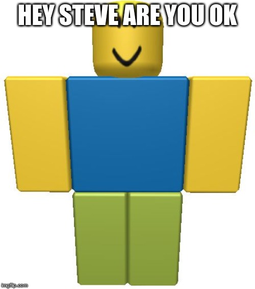 ROBLOX Noob | HEY STEVE ARE YOU OK | image tagged in roblox noob | made w/ Imgflip meme maker