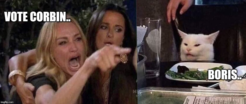 woman yelling at cat | VOTE CORBIN.. BORIS.. | image tagged in woman yelling at cat | made w/ Imgflip meme maker