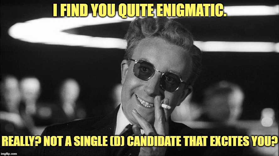 When you run across DoctorStrangelove again. | I FIND YOU QUITE ENIGMATIC. REALLY? NOT A SINGLE (D) CANDIDATE THAT EXCITES YOU? | image tagged in doctor strangelove says,election 2020,2020,democrats,election,primary | made w/ Imgflip meme maker