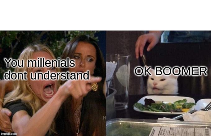 Woman Yelling At Cat Meme | You millenials dont understand; OK BOOMER | image tagged in memes,woman yelling at cat | made w/ Imgflip meme maker