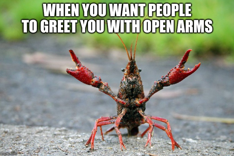 Mr.Hugs | WHEN YOU WANT PEOPLE TO GREET YOU WITH OPEN ARMS | image tagged in lobster | made w/ Imgflip meme maker
