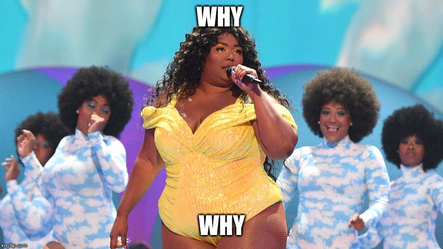 What Would Lizzo Do | WHY; WHY | image tagged in what would lizzo do | made w/ Imgflip meme maker