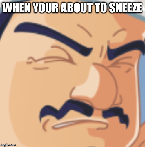 WHEN YOUR ABOUT TO SNEEZE | made w/ Imgflip meme maker