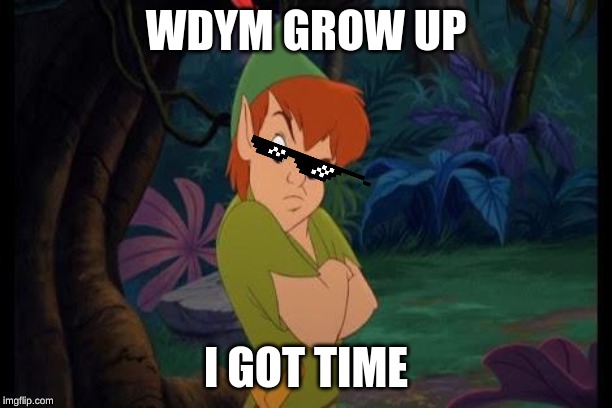 peter pan syndrome  | WDYM GROW UP; I GOT TIME | image tagged in peter pan syndrome | made w/ Imgflip meme maker