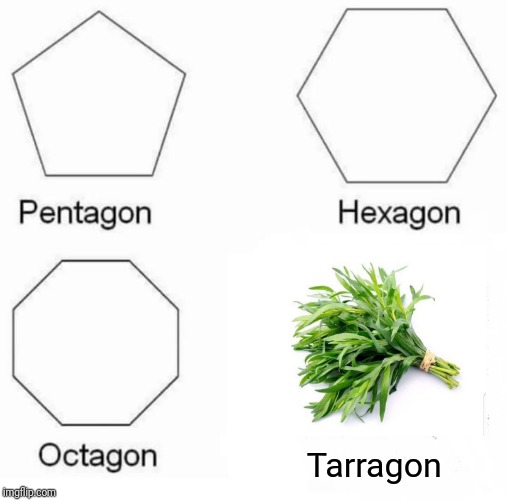 Pentagon Hexagon Octagon | Tarragon | image tagged in memes,pentagon hexagon octagon | made w/ Imgflip meme maker