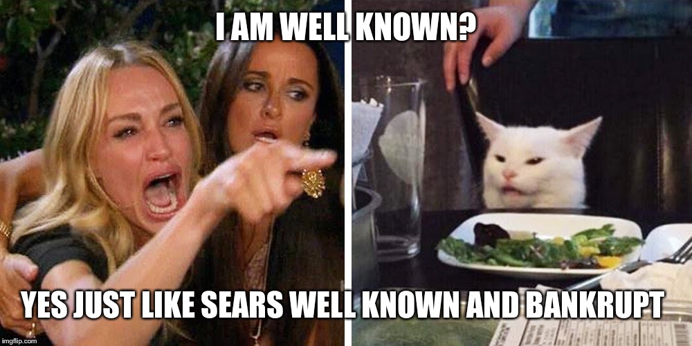 Smudge the cat | I AM WELL KNOWN? YES JUST LIKE SEARS WELL KNOWN AND BANKRUPT | image tagged in smudge the cat | made w/ Imgflip meme maker
