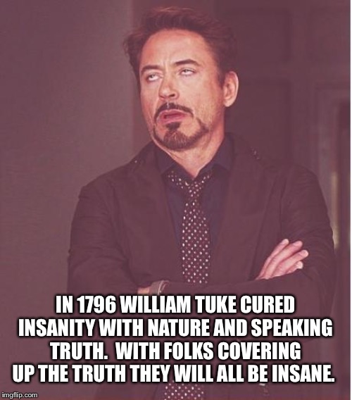 Face You Make Robert Downey Jr | IN 1796 WILLIAM TUKE CURED INSANITY WITH NATURE AND SPEAKING TRUTH.  WITH FOLKS COVERING UP THE TRUTH THEY WILL ALL BE INSANE. | image tagged in memes,face you make robert downey jr | made w/ Imgflip meme maker