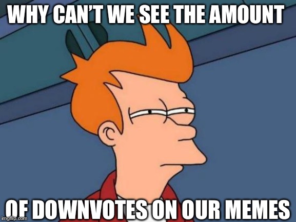 Futurama Fry | WHY CAN’T WE SEE THE AMOUNT; OF DOWNVOTES ON OUR MEMES | image tagged in memes,futurama fry | made w/ Imgflip meme maker