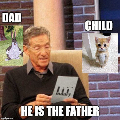 Maury Lie Detector Meme | DAD; CHILD; HE IS THE FATHER | image tagged in memes,maury lie detector | made w/ Imgflip meme maker