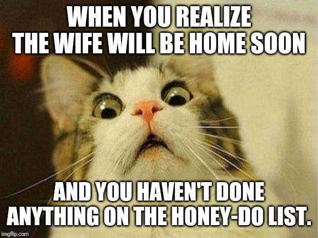 Scared Cat Meme | WHEN YOU REALIZE THE WIFE WILL BE HOME SOON; AND YOU HAVEN'T DONE ANYTHING ON THE HONEY-DO LIST. | image tagged in memes,scared cat | made w/ Imgflip meme maker