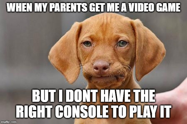 Dissapointed puppy | WHEN MY PARENTS GET ME A VIDEO GAME; BUT I DONT HAVE THE RIGHT CONSOLE TO PLAY IT | image tagged in dissapointed puppy | made w/ Imgflip meme maker