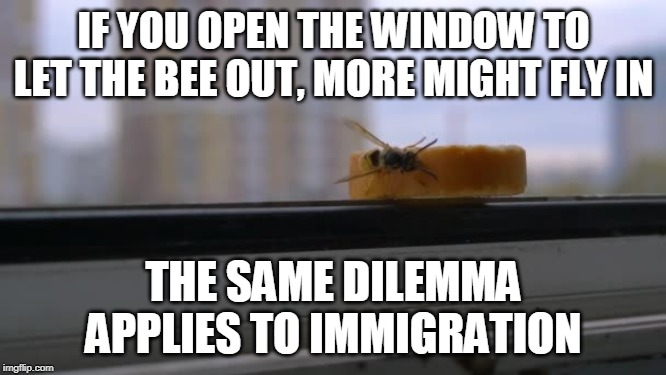 An Existential Conundrum | IF YOU OPEN THE WINDOW TO LET THE BEE OUT, MORE MIGHT FLY IN; THE SAME DILEMMA APPLIES TO IMMIGRATION | image tagged in immigration,illegal,aliens,border wall,insects,invasion | made w/ Imgflip meme maker