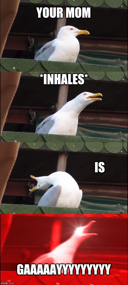 Inhaling Seagull | YOUR MOM; *INHALES*; IS; GAAAAAYYYYYYYYY | image tagged in memes,inhaling seagull | made w/ Imgflip meme maker