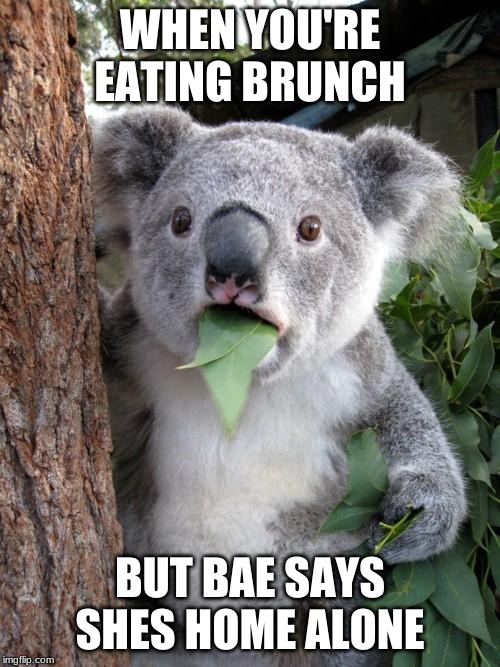 Surprised Koala | WHEN YOU'RE EATING BRUNCH; BUT BAE SAYS SHES HOME ALONE | image tagged in memes,surprised koala | made w/ Imgflip meme maker