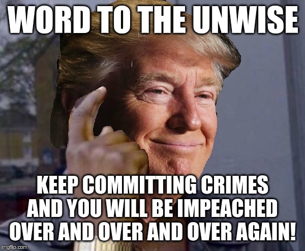 Maybe learn from your mistakes? J/K we know you don't learn! | WORD TO THE UNWISE; KEEP COMMITTING CRIMES
AND YOU WILL BE IMPEACHED OVER AND OVER AND OVER AGAIN! | image tagged in trump good idea,memes,politics | made w/ Imgflip meme maker