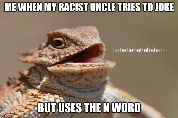 laughing lizard | ME WHEN MY RACIST UNCLE TRIES TO JOKE; BUT USES THE N WORD | image tagged in laughing lizard | made w/ Imgflip meme maker