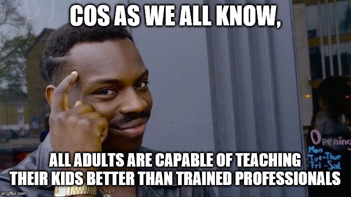 Roll Safe Think About It Meme | COS AS WE ALL KNOW, ALL ADULTS ARE CAPABLE OF TEACHING THEIR KIDS BETTER THAN TRAINED PROFESSIONALS | image tagged in memes,roll safe think about it | made w/ Imgflip meme maker