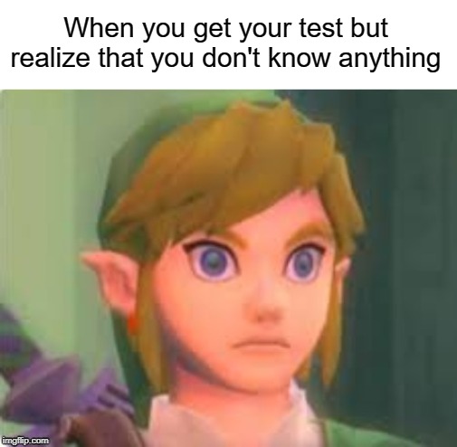 I don't know | When you get your test but realize that you don't know anything | image tagged in funny,memes,test,link,legend of zelda,the legend of zelda | made w/ Imgflip meme maker