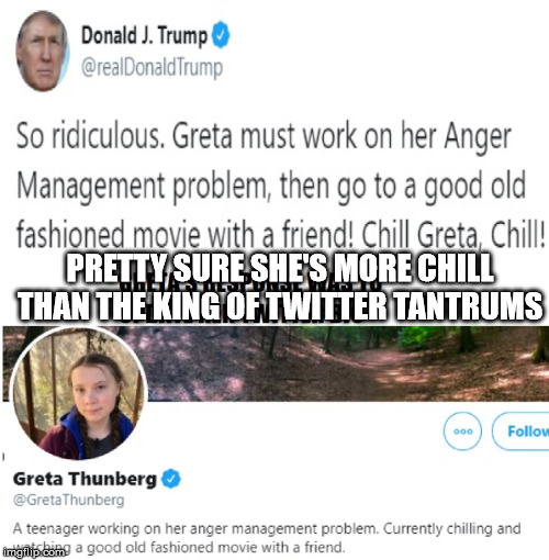 Greta Chill | PRETTY SURE SHE'S MORE CHILL THAN THE KING OF TWITTER TANTRUMS | image tagged in greta chill | made w/ Imgflip meme maker