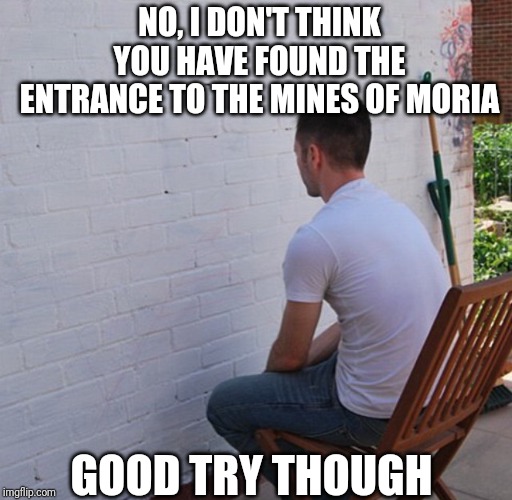 Dwarf doors in Middle Earth. So difficult to see when closed. | NO, I DON'T THINK YOU HAVE FOUND THE ENTRANCE TO THE MINES OF MORIA; GOOD TRY THOUGH | image tagged in bored | made w/ Imgflip meme maker