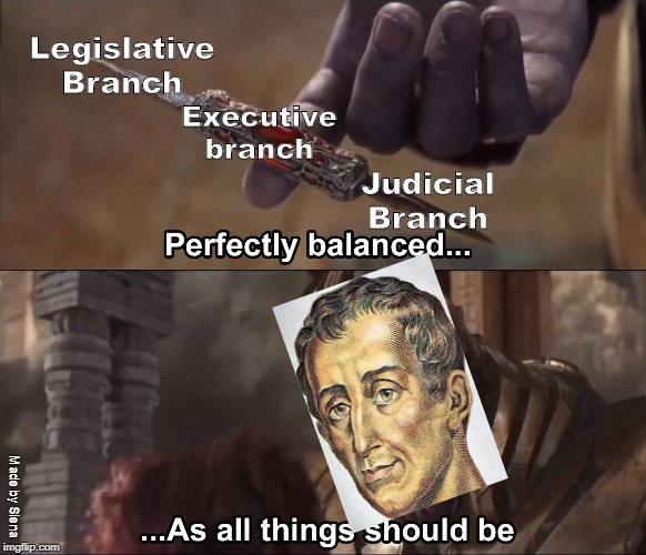 Thanos perfectly balanced as all things should be | Legislative Branch; Executive branch; Judicial Branch; Made by Siena | image tagged in thanos perfectly balanced as all things should be | made w/ Imgflip meme maker