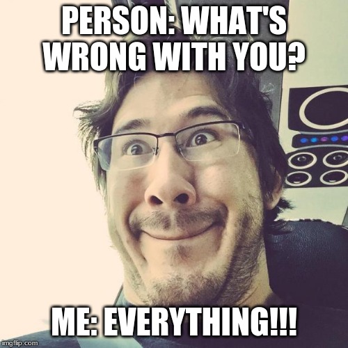 the face of crazy | PERSON: WHAT'S WRONG WITH YOU? ME: EVERYTHING!!! | image tagged in markiplier derp face | made w/ Imgflip meme maker