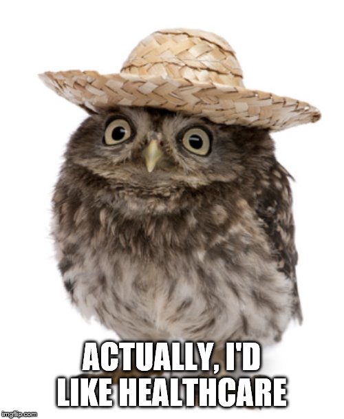 sombrero owl | ACTUALLY, I'D LIKE HEALTHCARE | image tagged in sombrero owl | made w/ Imgflip meme maker