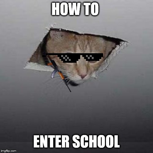 Ceiling Cat | HOW TO; ENTER SCHOOL | image tagged in memes,ceiling cat | made w/ Imgflip meme maker