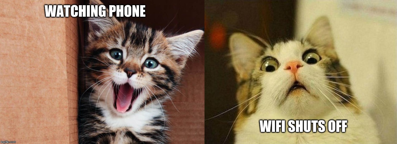 WATCHING PHONE; WIFI SHUTS OFF | image tagged in memes,scared cat | made w/ Imgflip meme maker