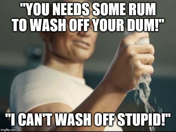 Mr Clean panties | "YOU NEEDS SOME RUM TO WASH OFF YOUR DUM!"; "I CAN'T WASH OFF STUPID!" | image tagged in mr clean panties | made w/ Imgflip meme maker