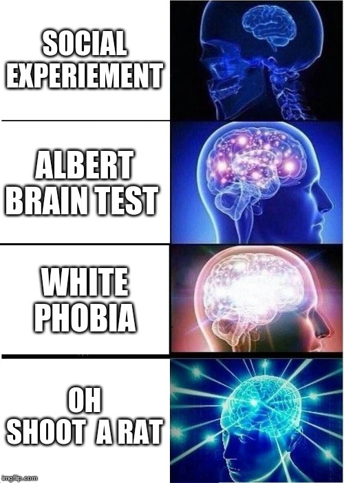 Expanding Brain Meme | SOCIAL EXPERIEMENT; ALBERT BRAIN TEST; WHITE PHOBIA; OH SHOOT  A RAT | image tagged in memes,expanding brain | made w/ Imgflip meme maker