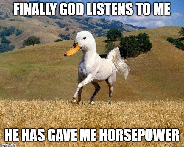 horse duck | FINALLY GOD LISTENS TO ME; HE HAS GAVE ME HORSEPOWER | image tagged in funny,memes,horse,duck,ducks,horsepower | made w/ Imgflip meme maker