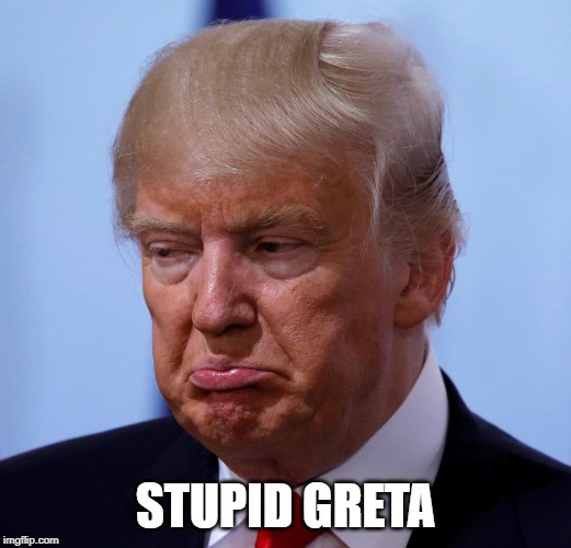 Pouty Trump | STUPID GRETA | image tagged in greta thunberg,donald trump,pout | made w/ Imgflip meme maker