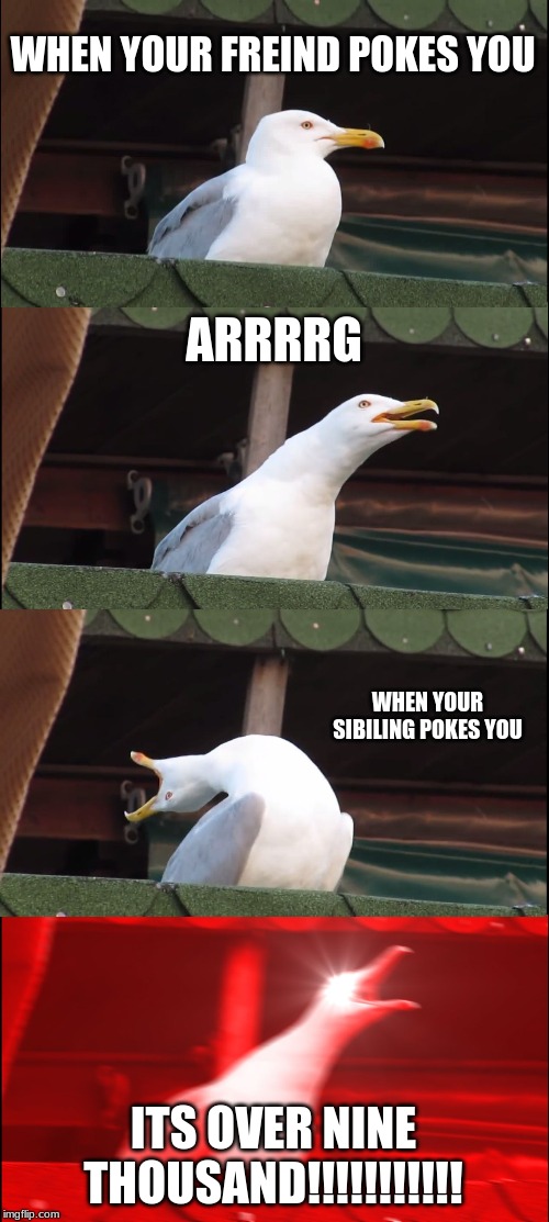 Inhaling Seagull | WHEN YOUR FREIND POKES YOU; ARRRRG; WHEN YOUR SIBILING POKES YOU; ITS OVER NINE THOUSAND!!!!!!!!!!! | image tagged in memes,inhaling seagull | made w/ Imgflip meme maker